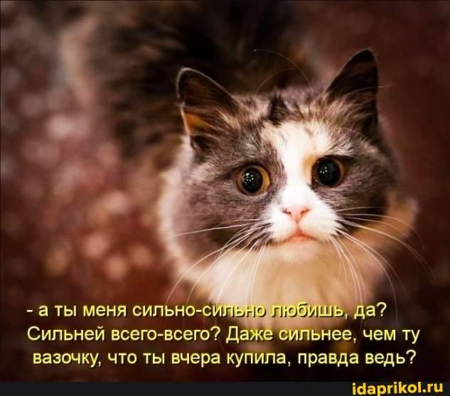 Сипьней всеговсего 4 и нее чем ту вазочку что ты вчера купила правда ведь іааргікгц