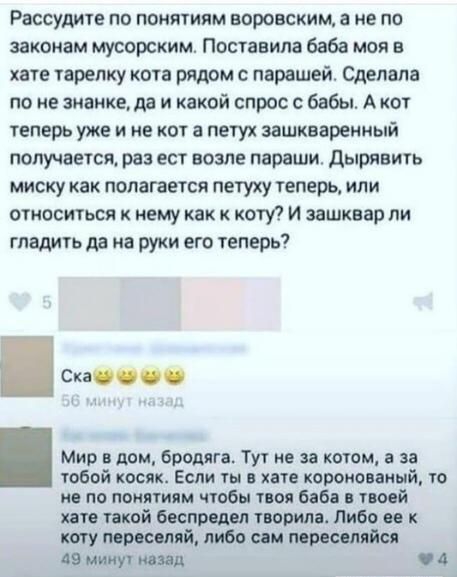 Рассудиіе ПО ПОНПИПМ воровским а не ПО законам мусорским Поставила баба мои в хате тарелку кота рядом парашей Сделала по не значкеда и какой спрос бабы А от теперь уже и не кот а петух зашквареиный получается раз ест возле параши дырявить миску как полагается петуху теперь или отиосться к нему как к кот И зашкаар ли гладить да на руки его теперь Мир в дом бродяга Ту не за коюм а за тобой косяк Есл