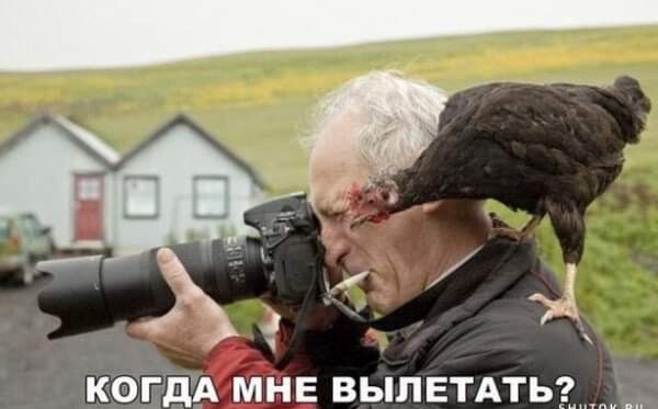КОГДА МНЕ ВЫЛЕТАТЬЁ ________