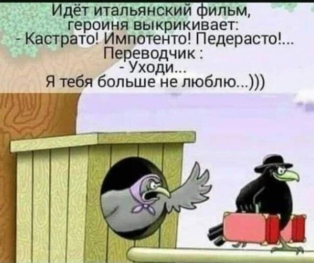 _ дёт итальянским ильм героиня выкрикивает Кастрат Импотенто Педерасто Переводчик Уходи Я тебя больше не люблю 5 _