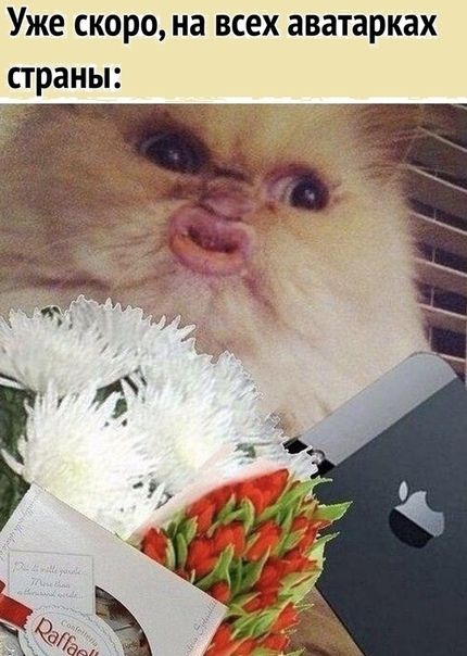 Уже СКОРО на ВСЕХ аватарках страны