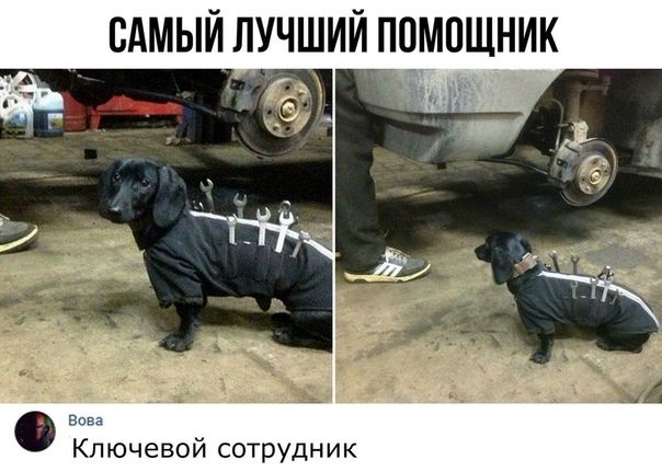 САМЫЙ ЛУЧШИЙ ПОМОЩНИК Виш Ключевой сотрудник
