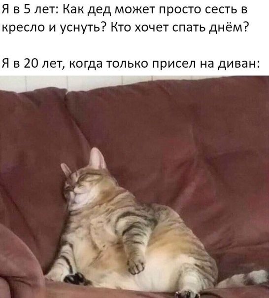 Я в 5 лет Как дед может просто сесть в кресло и уснуть Кто хочет спать днём Я в 20 лет когда только присел на диван