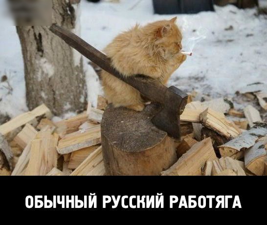 ВБЫЧНЫЙ РУССКИЙ РАБОТЯГА