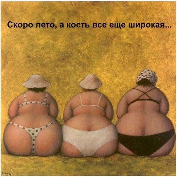 5 Сиро наём квант широкая