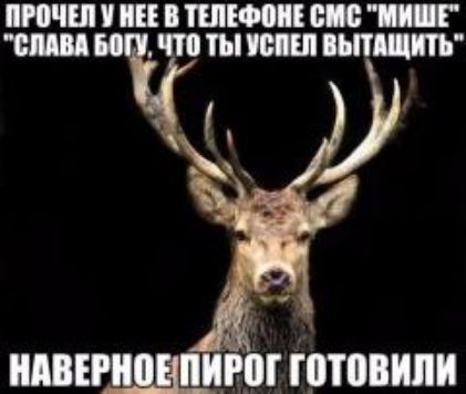 ШВЕШЩРШ ШШВИПИ