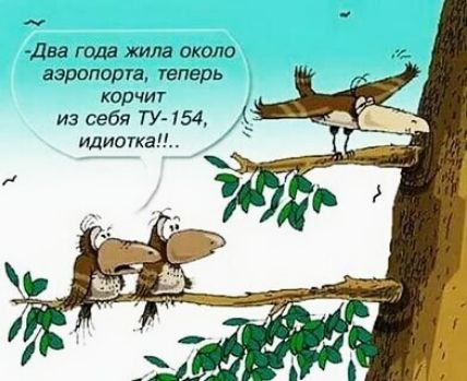 Два года жила окола аэропорта уеперь кирчит из себя ТУ 154 идиотка