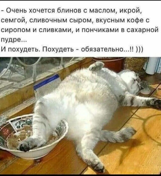 Очень хочется блинов с маслом икрой семгой сливочным сыром вкусным кофе с сиропом и сливками и пончиками в сахарной пудре И похудеть Похудеть обязательно