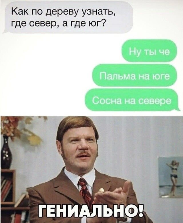 Как по дереву узнать где север а где юг