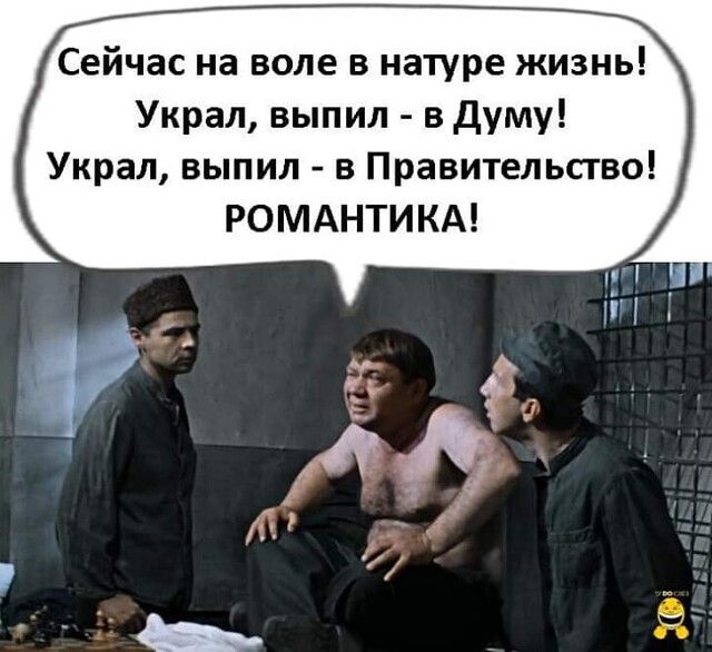 Сейчас на воле в натуре жизнь Украл выпил в думу Украл выпил в Правительство РОМАНТИКА