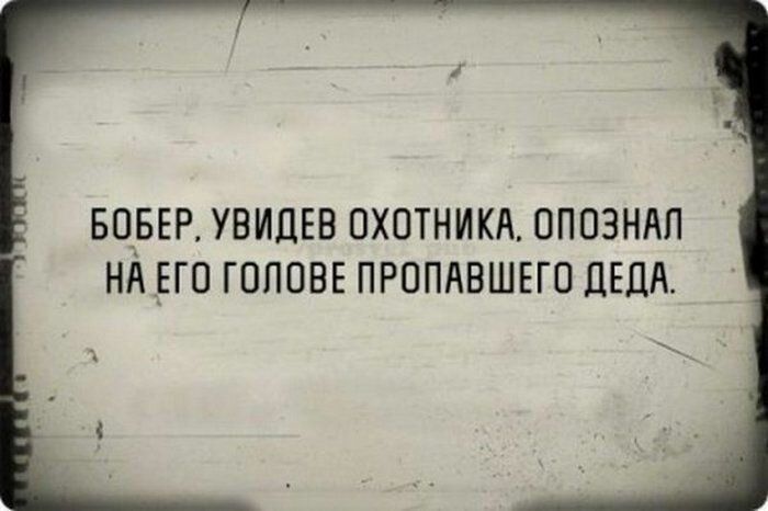 БОБЕР УВИДЕВ ОХОТНИКА ОППЗНАП НА _ЕГП ГОЛОВЕ ПРППАВШЕГО ДЕДА