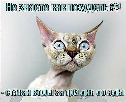 щдзть 4 пн ВОДЫ ДБШШ дщн