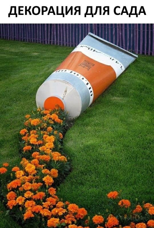 двкордция для САДА
