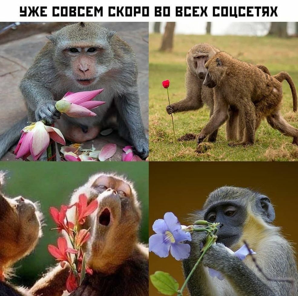 НЖЕ ЕПВЕЕМ ЕКПРП ВП ВСЕХ БПЦЕЕТПХ