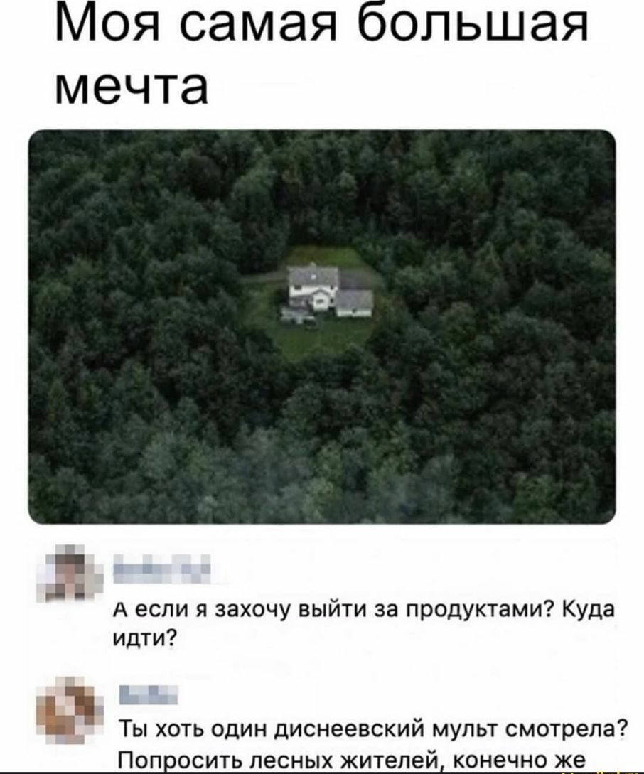 Моя самая мечта у А если я захочу выити за продуктами Куда идти ТЫ ХОТЬ ОДИН ДИСНЭЭВСКИЙ МУЛЬТ смотрела ПОП ООСИТЬ ЛЕСНЫХ жителей КОНЭЧНО же