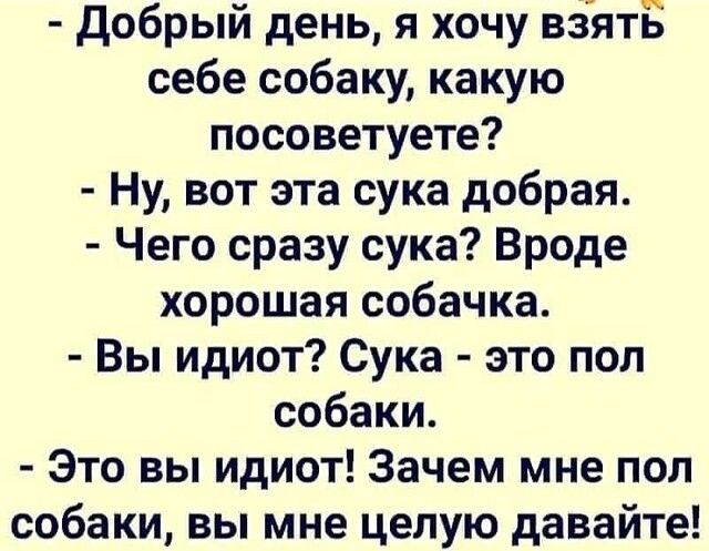 Добрый день я хочу взятБ себе собаку какую посоветуете Ну вот эта сука добрая Чего сразу сука Вроде хорошая собачка Вы идиот Сука это пол собаки Это вы идиот Зачем мне пол собаки вы мне целую давайте