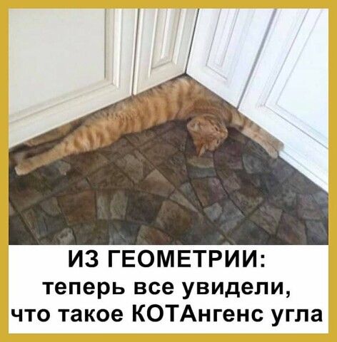 ИЗ ГЕОМЕТРИИ теперь все увидели что такое КОТАнгенс угла