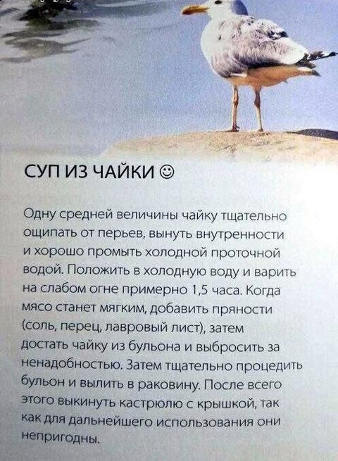 СУП ИЗ ЧАЙКИ Одну средней величины чайку щаТепьно ощипать от перьев вынуть внутренности и хорошо промыть холодной проточной водой Положить в холодную воду и варить на слабом огне примерно 75 часа Когда мясо станет млГкИМ добавить пряности Соль перец лавровый лист затем достань чайку из бульона и выбросить за ненадобностью ЗАтем тщательно процедить _бУдыЭН и выпить в раковину После всего