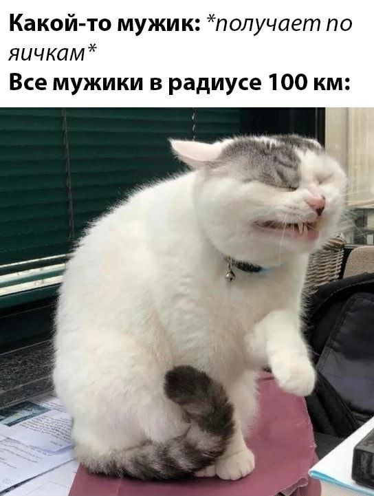 Какой то мужик получает по яичка Все мужики в радиусе 100 км