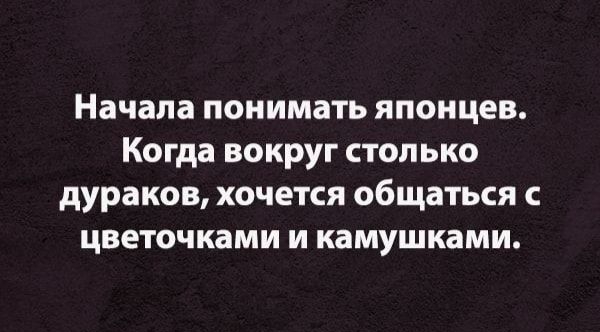 Начала понимать японцев Когда вокруг столько дураков хочется общаться с цветочками и камушками
