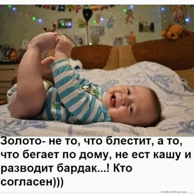 и из _ дще олбто не то что блестит а то что бегает по дому не ест кашу и разводит бардак Кто согласен