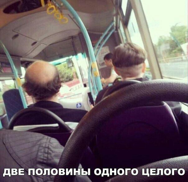 дВЕ половиніы одного ЦЕпого