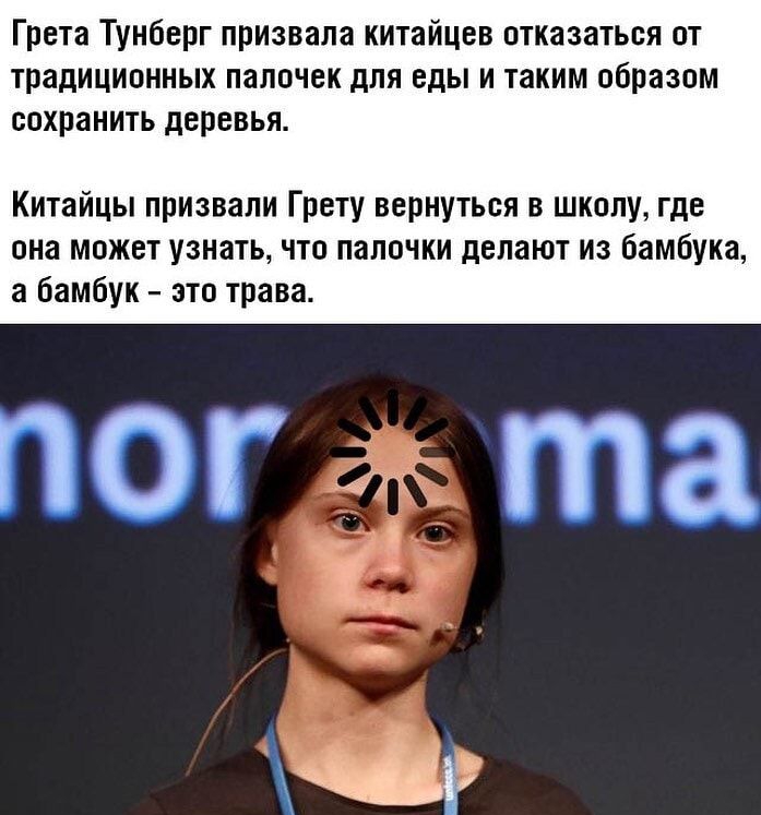 Грета Тунберг призвала китайцев отказаться от традиционных палочек для еды и таким образом сохранить деревья Китайцы призвали Г рету вернуться в школу где она может узнать что палочки делают из бамбука а бамбук это трава