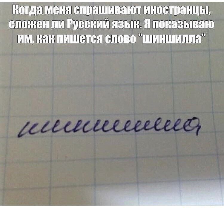 Когда меня еппащивают иноетпанщь сложен пи Рішений язык и показываю им как пишется слово шиншилла