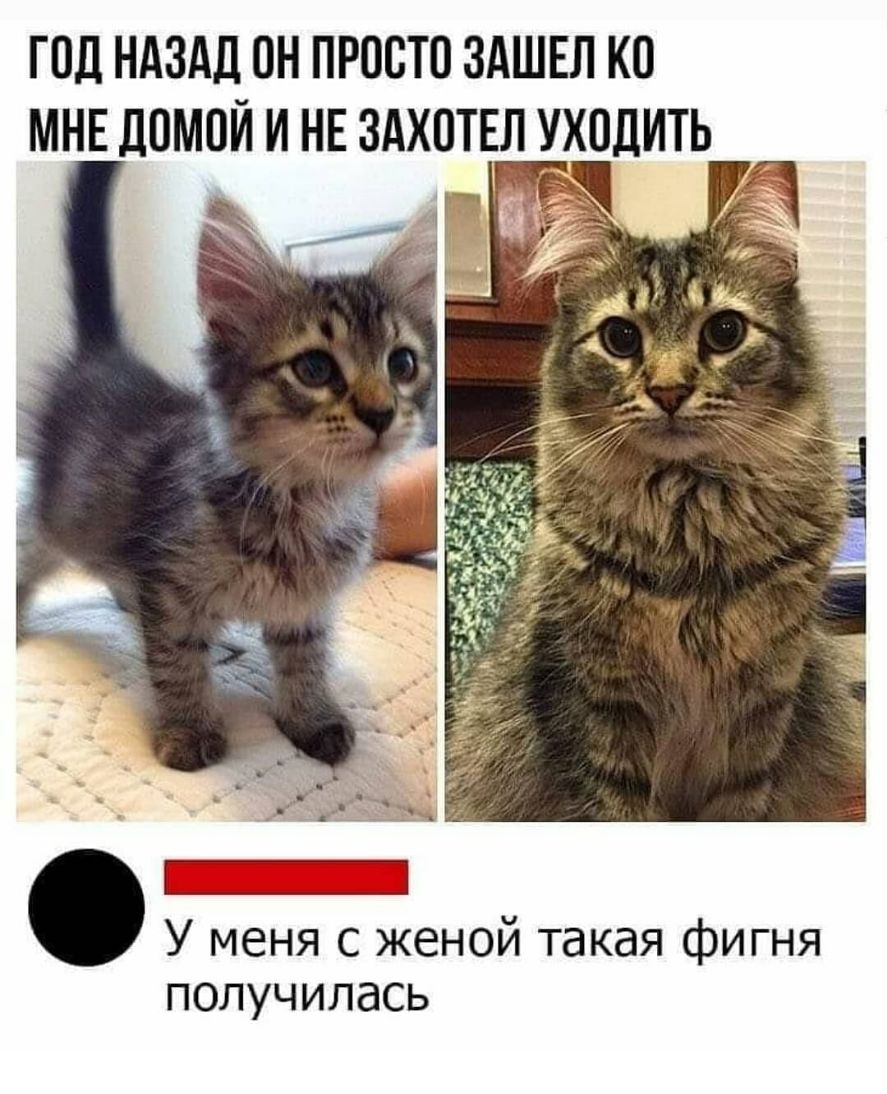 ГОД НАЗАД ОН ПРООТО ЗАШЕЛ КО МНЕ ДОМОЙ И НЕ ЗАХОТЕЛ УХОДИТЬ У меня с женой такая фигня получилась