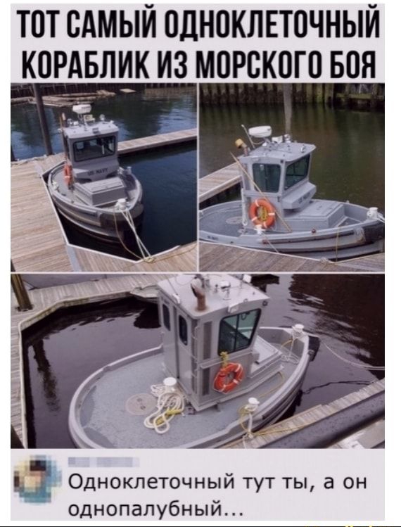 ТПТ САМЫЙ ПДНПКЛЕТОЧНЫЙ КОРАБИК ИЗ МПРСКВГП БОЯ Одноклеточный тут ты а он однопапубный