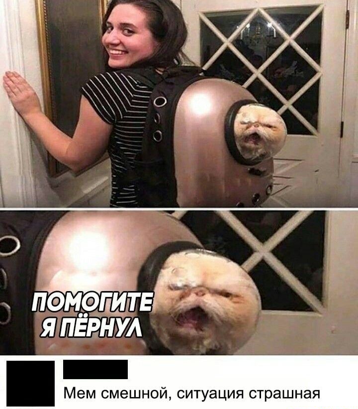 о __ пэмэщтв япврнул Мем смешной ситуация страшная _