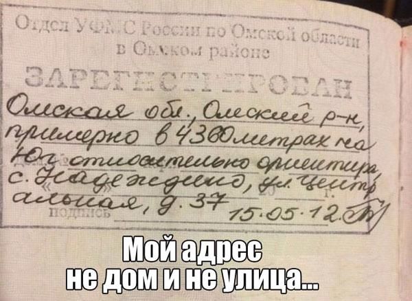 ШЁБ