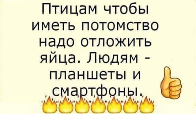 Птицам чтобы иметь потомство надо отложить яйца Людям планшетыи 5 53943117 _н_