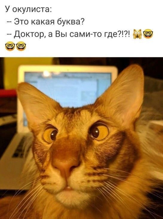 У окулиста Это какая буква Доктор а Вы сами то где