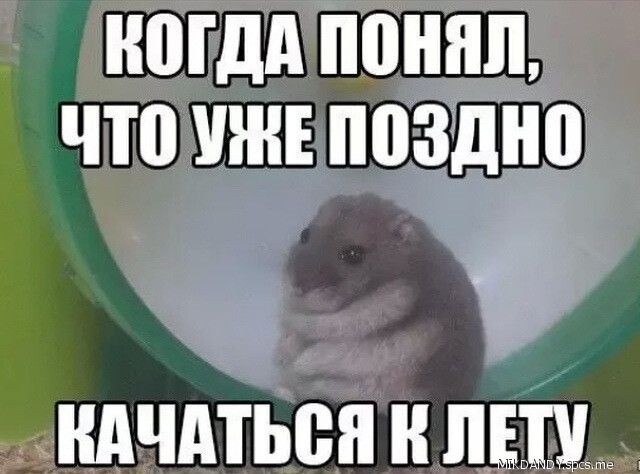 НШДА ППННЛ что УЖЕ ППЗШЮ НАЧАТЬВЯ Н Цие