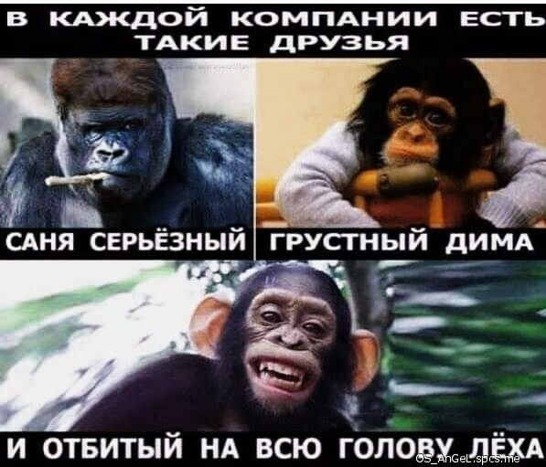 В КЩОЙ КОМПАНИИ ЕСТЬ ТАКИЕ ДРУЗЬЯ адм сдня серьёзный грустный димд и отвитый НА всю гОлоёхседёдА