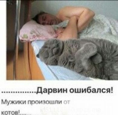 дарвии ошибался Мужики птичошпи нкп