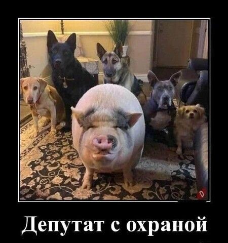 Депутат с охраной