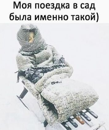 Моя поездка в сад была именно такой