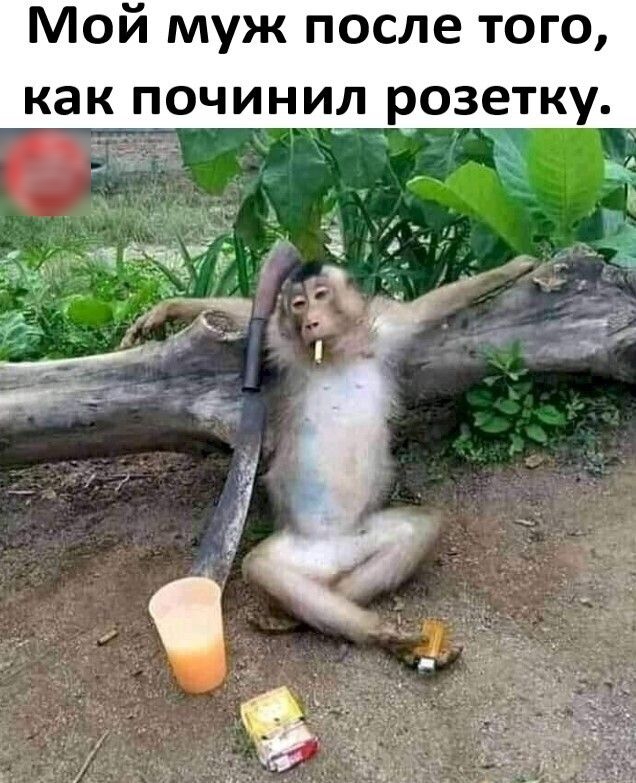 Мой муж после того как ПОЧИНИЛ РОЗЕТКУ А