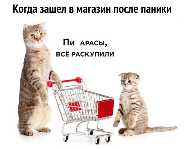 Когда зашел В магазин ПОСЛЕ ПЗНИКИ Пи АРАСЫ всё РАСКУПИЛИ
