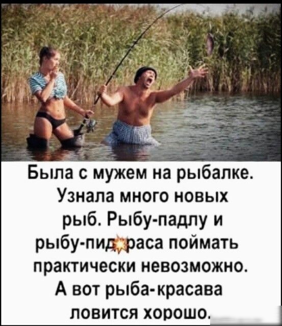 Была с мужем на рыбалке Узнала много новых рыб Рыбу падлу и рыбу пиддзаса поймать практически невозможно А вот рыба красава ловится хорошо