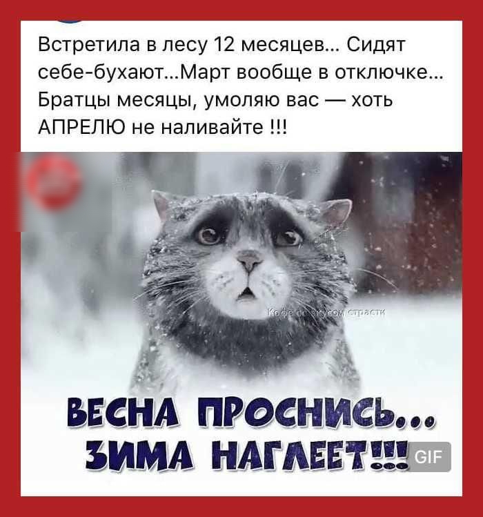 Встретипа в лесу 12 месяцев Сидят себе бухаютМарт вообще в отключке Братцы месяцы умоляю вас хоть АПРЕЛЮ не наливайте БЕС ИАА РОСНИСЬ ЗИМА НАГАЕЕТЕЕЕ