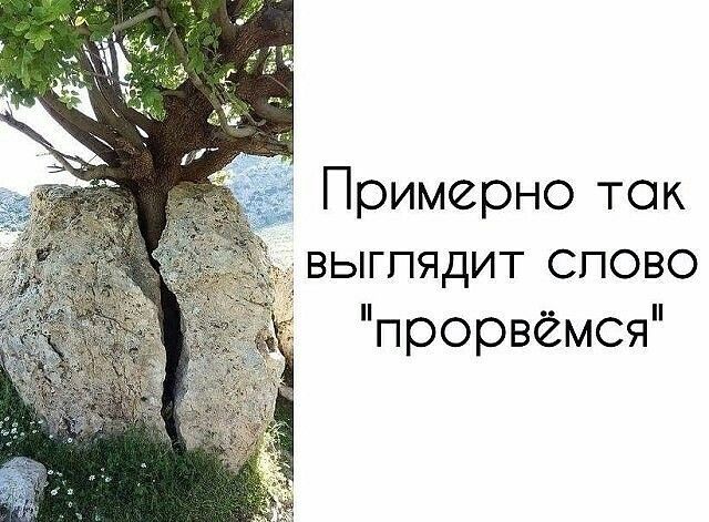 Примерно ток выгпядит спово прорвёмся