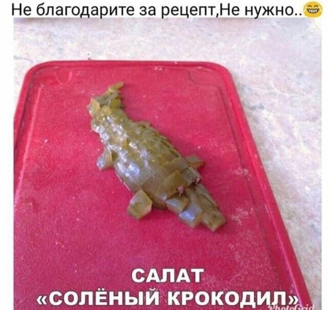 Не благодарите за рецепрНе нужно а СОЛЁНЫИ КРОКОД Л