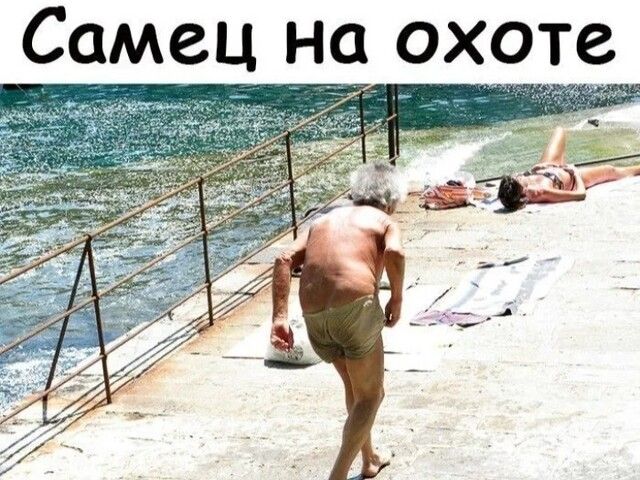 Самец на охоте