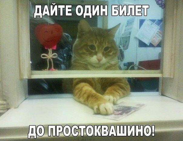 Ьъддіъйтв одиін