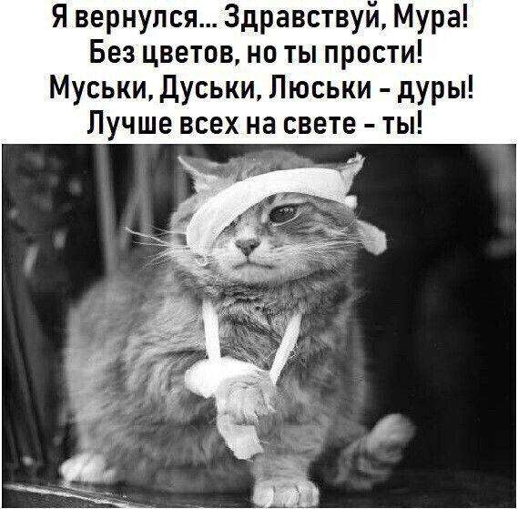 Я вернулся Здравствуй Мура Без цветов не ты прости Муськи Дуськи Люськи дуры Лучше всех на свете ты