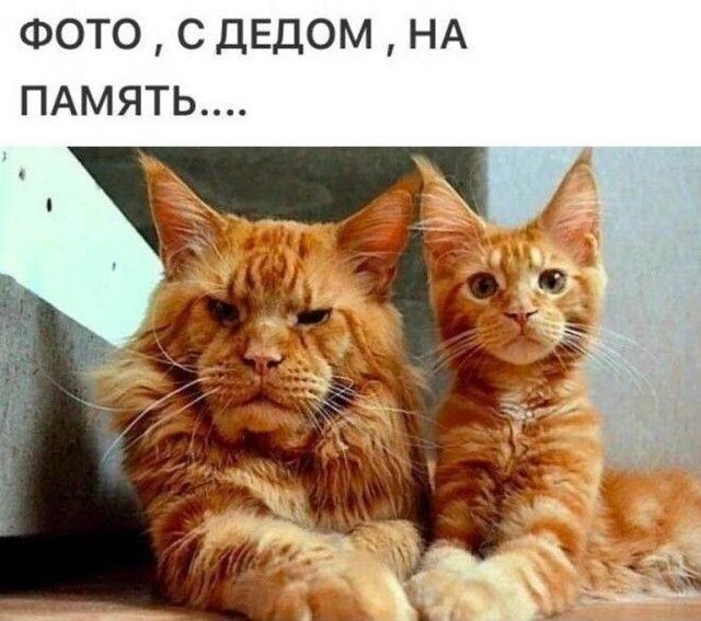 ФОТО с дЕДОМ НА ПАМЯТЬ