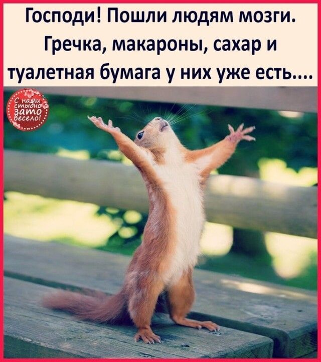 Господи Пошли людям мозги Гречка макароны сахар и туалетная бумага у них уже есть _